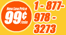 99 Cent option